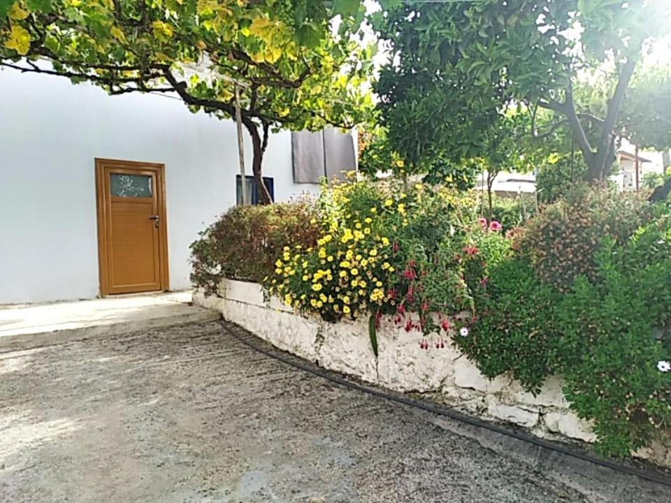 Appartement Hako *