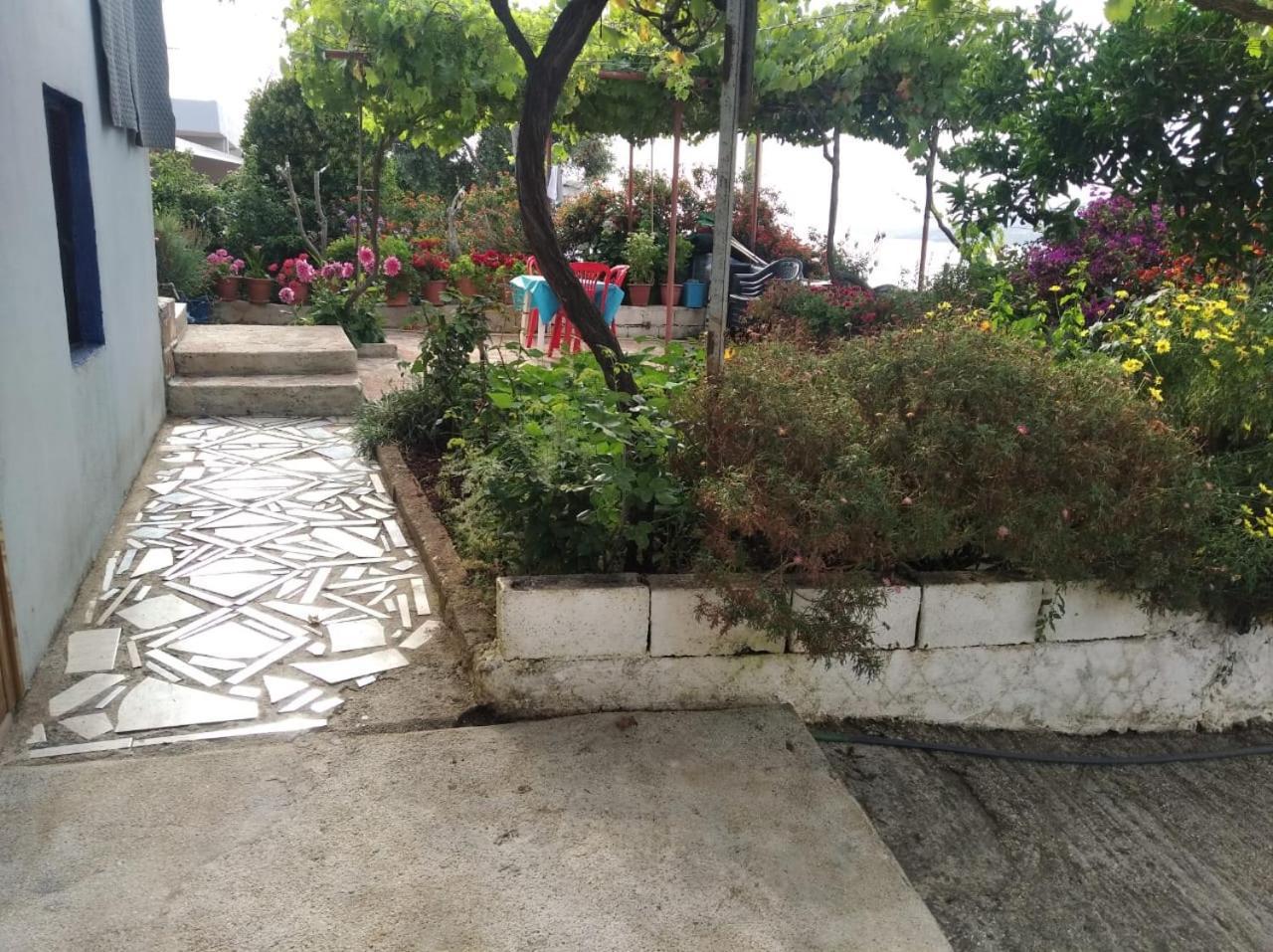 Hako Appartement Saranda